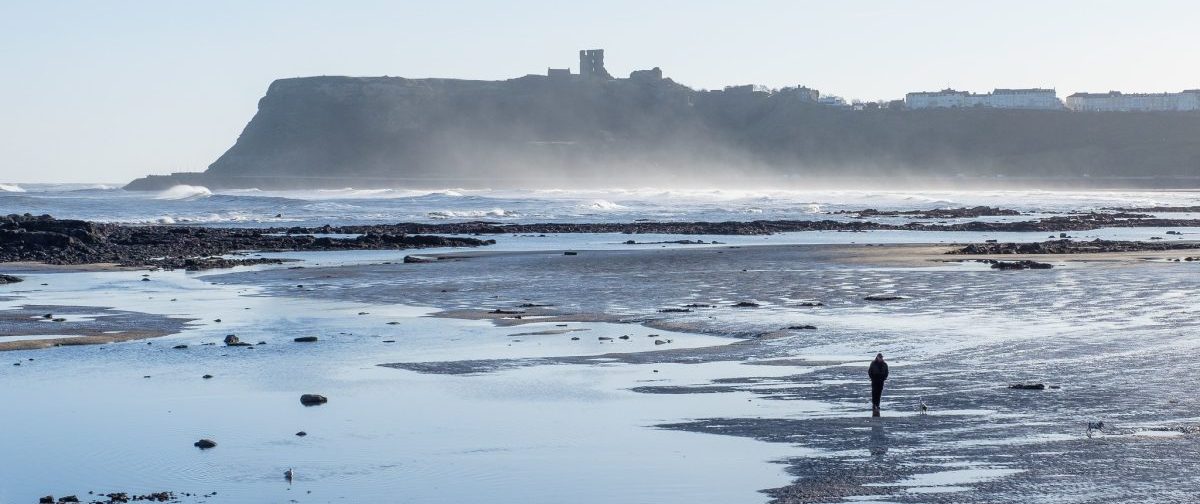 North Bay Scarborough Mid Content